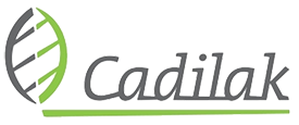 czesci.cadilak.pl